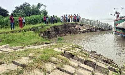 সিরাজগঞ্জে যমুনা নদীর তীর রক্ষা বাঁধের ৩০ মিটার নদীগর্ভে বিলীন