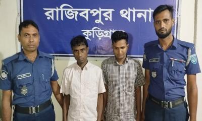 রাজীবপুরে পৃথক অভিযানে ৩৪টি গাঁজা গাছসহ ৩ জন গ্রেপ্তার