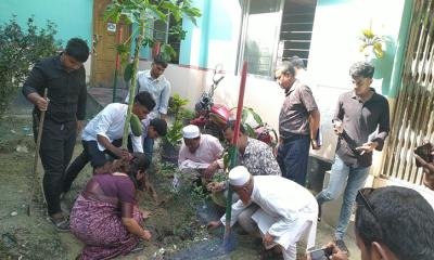 তিতাস উপজেলা পরিষদে সৌন্দর্য বর্ধনের লক্ষ্যে বিভিন্ন প্রজাতির চারা রোপণ