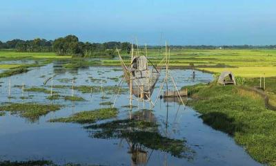 গৌরীপুরে হারিয়ে যাচ্ছে খাল-বিল, বাড়ছে জলাবদ্ধতা ও সেচসংকট