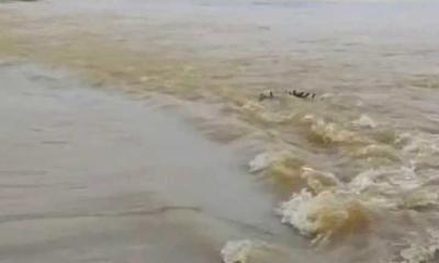 মৌলভীবাজারে বন্যার পানিতে ভাসমান দুই মরদেহ উদ্ধার, নিখোঁজ ১