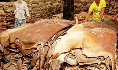 কোরবানির পশুর চামড়ার মূল্য নির্ধারণ