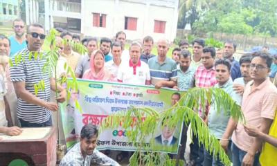 বাউফলে ছাত্রদলের উদ্যোগে বৃক্ষরোপণ কর্মসূচি পালিত
