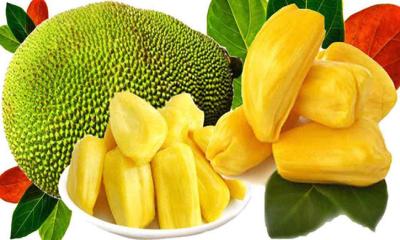 কাঁঠাল খাওয়ার ১১ টি উপকারিতা