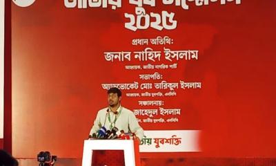 ফেব্রুয়ারিতে নির্বাচন হবে না: নাসীরুদ্দীন পাটওয়ারী
