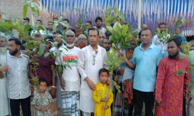 মান্দায় বিএনপির মাসব্যাপী বৃক্ষরোপণ কর্মসূচির উদ্বোধন
