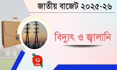 নতুন অর্থবছরে বিদ্যুতের দাম বাড়ছে না: অর্থ উপদেষ্টা