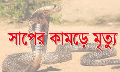 শরণখোলায় সাপের কামড়ে নারীর মৃত্যু