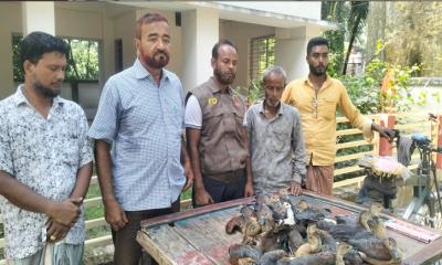 উজিরপুরে অবাধে অতিথি পাখি শিকার — বিক্রয়ের সময় বন বিভাগের হাতে আটক বিক্রেতা