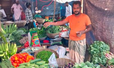ঘোড়াশালে কাঁচামরিচের দাম কেজিপ্রতি ৬০০ টাকা