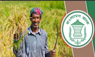 চাঁদপুরে কৃষিঋণ বিতরণ ৩৩৯ কোটি আদায় ২৮৬ কোটি টাকা