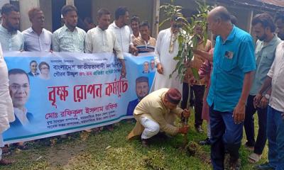তারাকান্দায় জেলা যুবদলের নেতা রফিকের বৃক্ষরোপণ কর্মসূচি