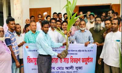 উজিরপুরে কৃষকের মাঝে বিনামূল্যে বীজ, চারা ও সার বিতরণ