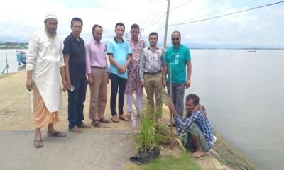 মধ্যনগরে বৃক্ষরোপণ কর্মসূচির শুভ উদ্বোধন