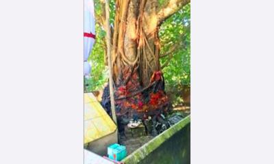 বোয়ালখালীতে বুদ্ধ মূর্তি ও বোধিবৃক্ষের চীবর পুড়িয়ে দেওয়ার অভিযোগ