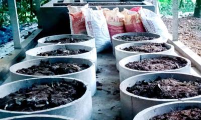 ভার্মি কম্পোস্ট প্রকল্পে কালীগঞ্জে ফের অনিয়ম, দুর্নীতি ও অর্থ লুট