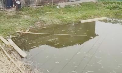 বড়াইগ্রামে একই সময়ে পুকুরে ডুবে দুই শিশুর মর্মান্তিক মৃত্যু