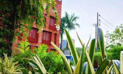 বৃষ্টিতে জেগে ওঠে ডিআইইউ ক্যাম্পাসের কাব্যিক রূপ
