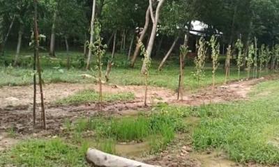 ভালুকায় শতাধিক মানুষের চলাচলের একমাত্র রাস্তা বন্ধ, দুর্ভোগে এলাকাবাসী