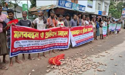আলুর ন্যায্য মূল্যের দাবিতে নওগাঁয় কৃষকদের মানববন্ধন