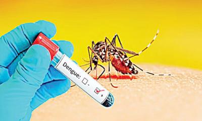 গত ২৪ ঘণ্টায় ডেঙ্গু আরও ৮ জনের মৃত্যু