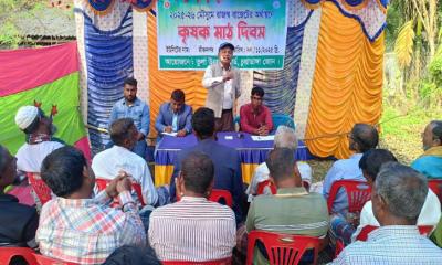 জীবননগরে তুলা চাষিদের নিয়ে মাঠ দিবস অনুষ্ঠিত