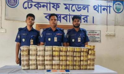 টেকনাফে মুরগির খামার থেকে ৫ লাখ পিস ইয়াবা উদ্ধার