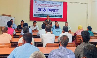 কাউখালীতে ফল-ফসল প্রদর্শনীর মাঠ দিবস অনুষ্ঠিত