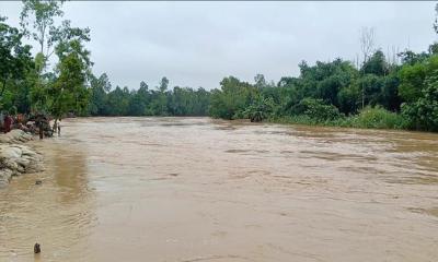 শেরপুরে নদ-নদীর পানি বৃদ্ধি, মহারশি নদীর বাঁধ ভেঙে অন্তত ১০ গ্রাম প্লাবিত