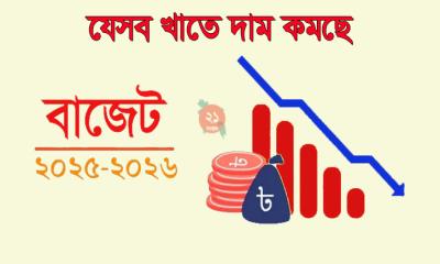 বাজেট ২০২৫-২৬: যেসব খাতে দাম কমছে
