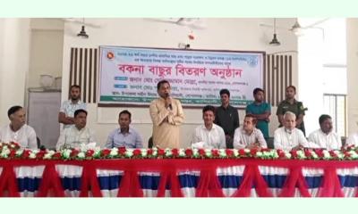 জেলেদের বিকল্প কর্মসংস্থানে সরকার বদ্ধপরিকর: এমপি সেলিমুজ্জামান সেলিম