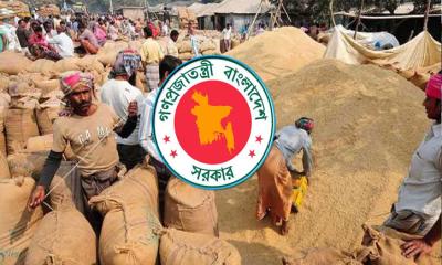৩ মে থেকে হাওর এলাকায় ধান-চাল সংগ্রহ শুরু করছে সরকার