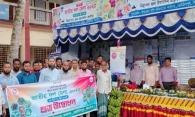 কোটচাঁদপুরে জাতীয় ফল মেলার উদ্বোধন