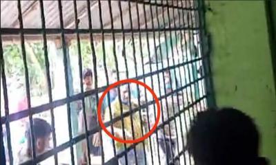 পলাশে বিএনপির নির্বাচনী প্রচারণায় যুবদল নেতার নেতৃত্বে গুলিবর্ষণের অভিযোগ, আহত ৩