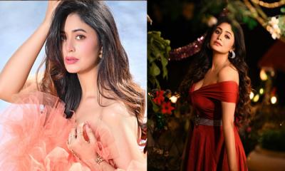 আবারও সমালোচনার মুখে ঋতাভরী চক্রবর্তী