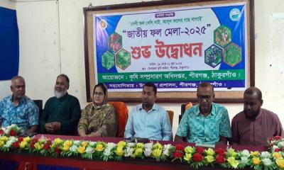 পীরগঞ্জে ৩ দিনব্যাপী জাতীয় ফল মেলার উদ্বোধন