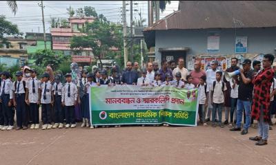 প্রাথমিকে বৃত্তি পরীক্ষা বন্ধে ষড়যন্ত্র করছে কিন্ডারগার্টেনের শিক্ষকরা: লক্ষ্মীপুরে মানববন্ধনে প্রতিবাদ