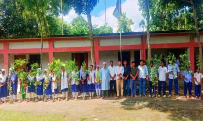 বেগম খালেদা জিয়ার ৮০তম জন্মবার্ষিকীতে নান্দাইলে গাছের চারা রোপণ