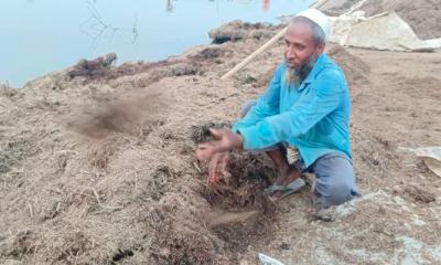 কোরবানির ঈদের আনন্দ নেই মদনের বন্যাকবলিত মানুষের মাঝে