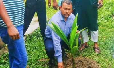 নান্দাইলে জহুরা খাতুন উচ্চ বালিকা বিদ্যালয় পরিদর্শন ও বৃক্ষরোপণ
