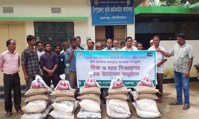 কমলগঞ্জে প্রনোদনার আওতায় সার, বীজ পাচ্ছে ৩ হাজার ৬শত জন কৃষক