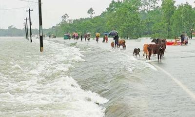 নদীর পানি বাড়ছে, ৯ জেলায় বন্যা নিয়ে নতুন সতর্কবার্তা