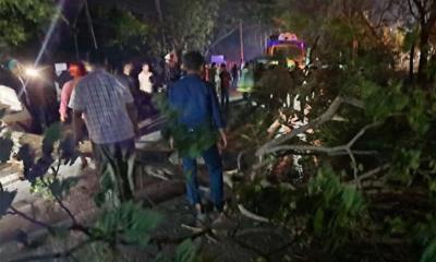 মৌলভীবাজারে সড়কে গাছ ফেলে ঘণ্টাব্যাপী ডাকাতি, আহত অন্তত ২০