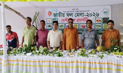 বোয়ালখালীতে ফল মেলায় দেশীয় ফলের সমাহার