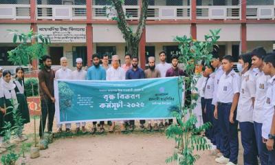 কালীগঞ্জে ছাত্র শিবিরের বৃক্ষরোপণ কর্মসূচি