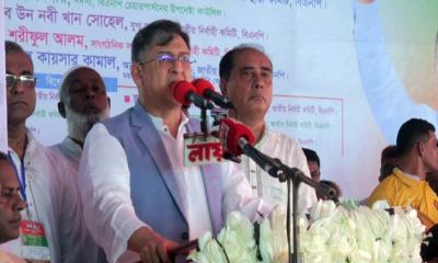 পিআর পদ্ধতিতে নির্বাচনের কথা সংবিধানে নেই: সালাউদ্দিন আহমেদ
