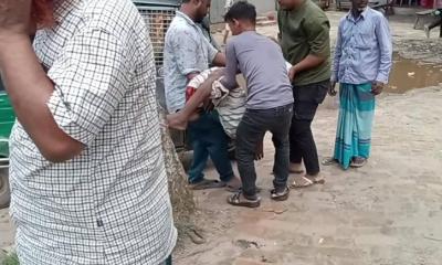 গজারিয়ায় মাইক্রোবাসের ধাক্কায় পথচারী নিহত