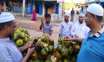 পলাশে তীব্র গরমে তালের শাঁসের চাহিদা বেড়েছে