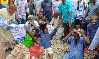 কুড়িগ্রামে হিমাগার ভাড়া বৃদ্ধির প্রতিবাদে সড়কে আলু ফেলে অবরোধ