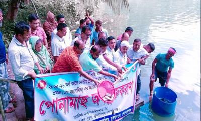 মুকসুদপুরে দেশীয় মাছ সংরক্ষণ প্রকল্পের পোনা অবমুক্ত: টেকসই মৎস্য উন্নয়নে নতুন উদ্যোগ